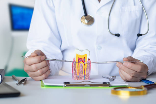 Best Emergency Tooth Extraction in Bright, IN